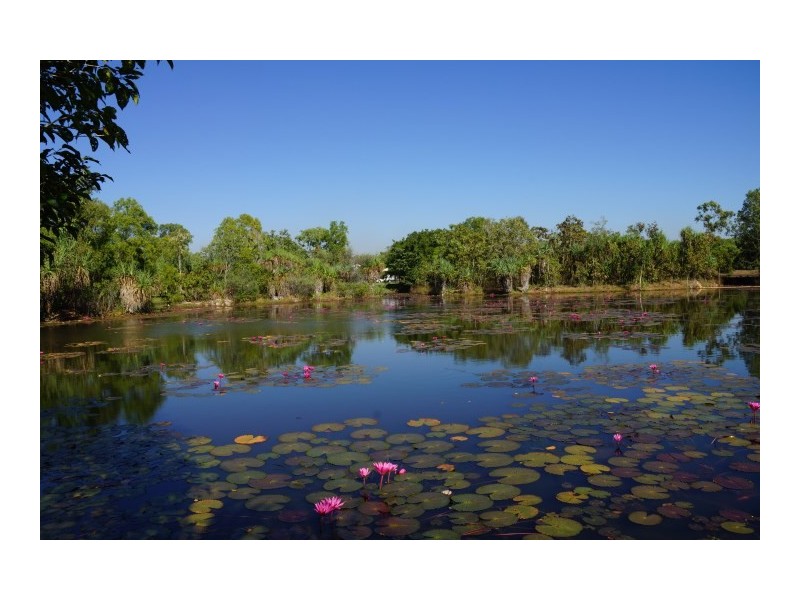 16 Davenport Court, Gunn NT 0832