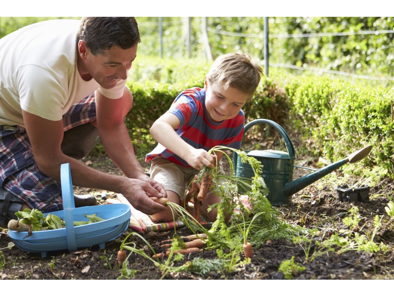 3 Vaughton Place, Rapid Creek NT 0810