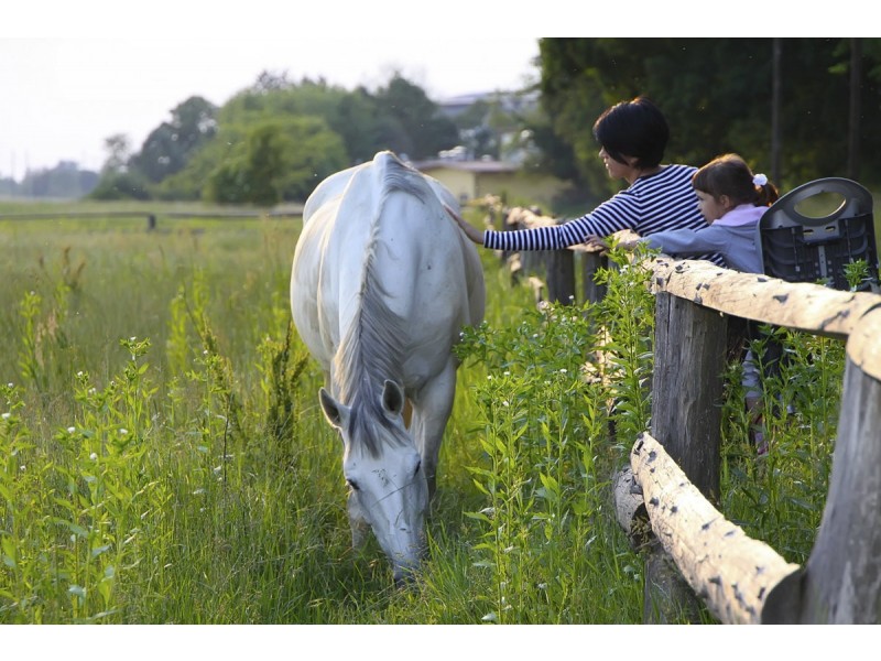 78 Kareela Drive, Girraween NT 0836