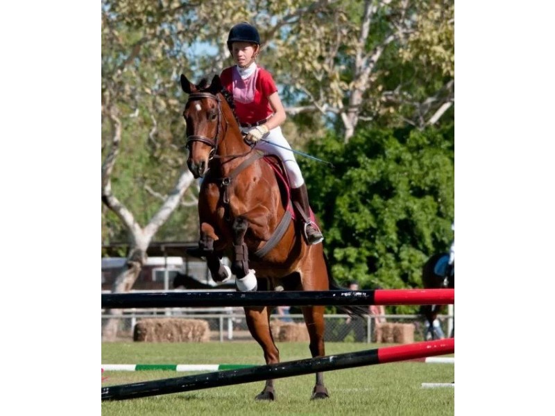 40 Watling Road, Girraween NT 0836