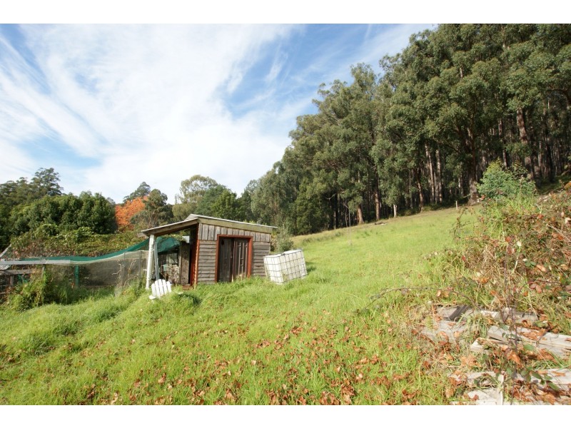 4 Lloyds Road, Powelltown VIC 3797