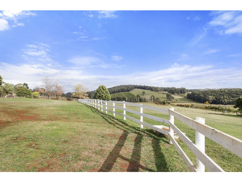 694 Lusatia Park Road, Hoddles Creek VIC 3139