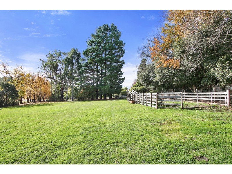 694 Lusatia Park Road, Hoddles Creek VIC 3139