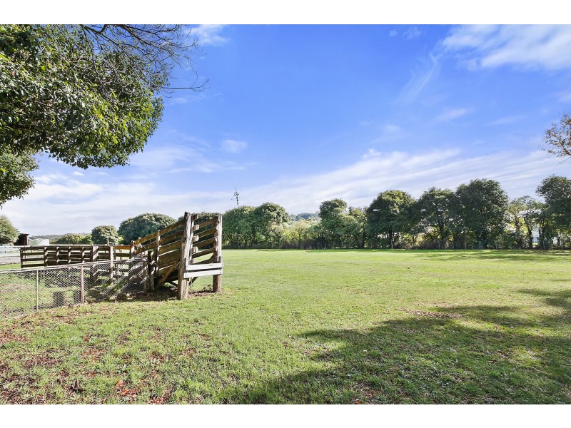 694 Lusatia Park Road, Hoddles Creek VIC 3139