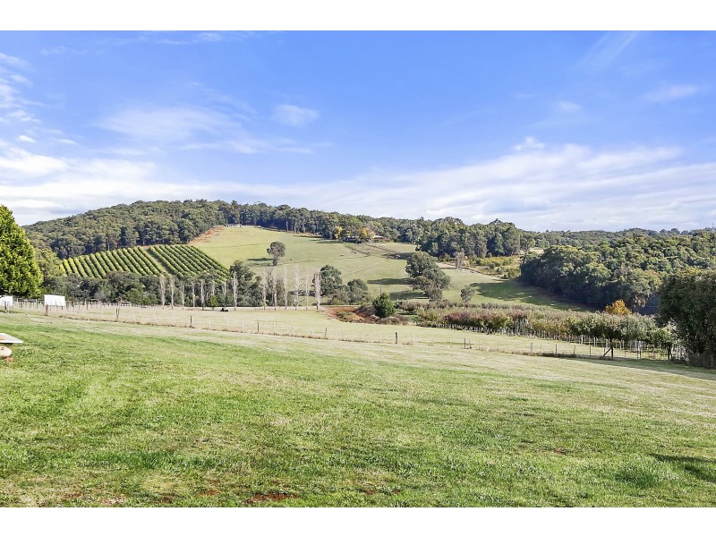 694 Lusatia Park Road, Hoddles Creek VIC 3139