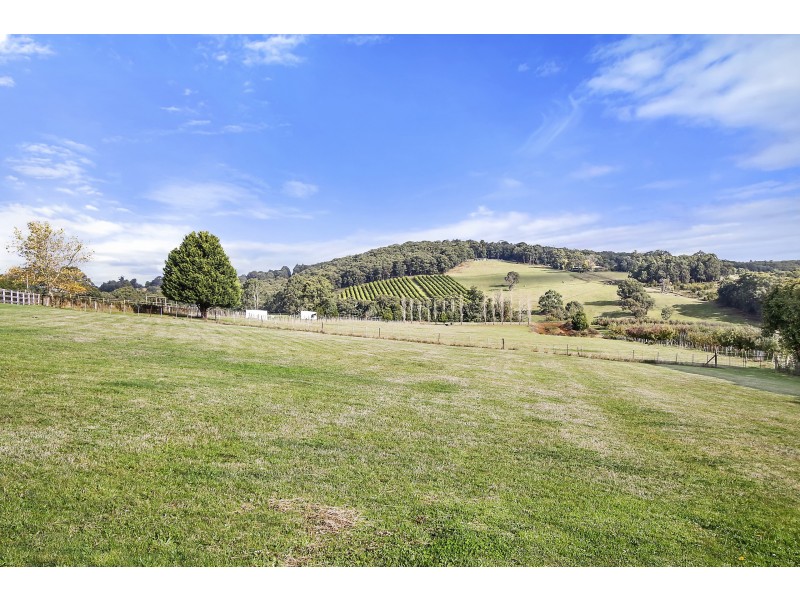 694 Lusatia Park Road, Hoddles Creek VIC 3139