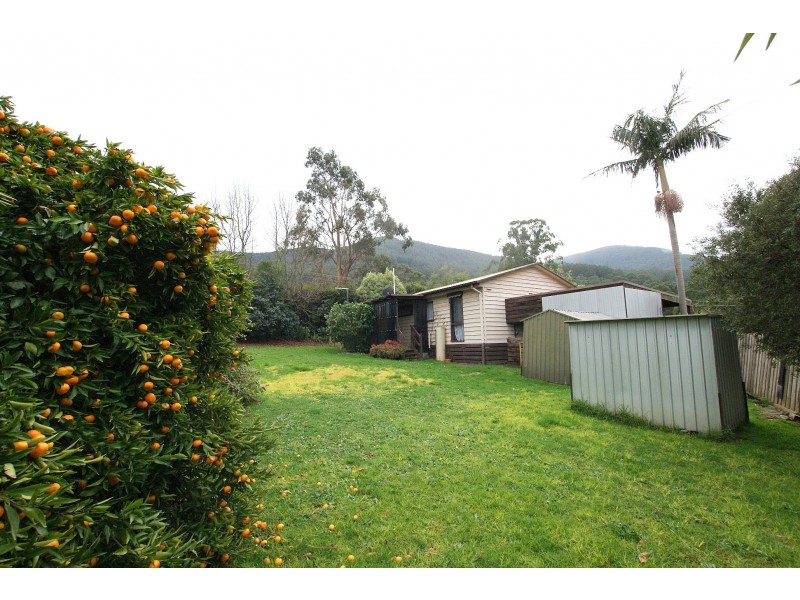 1 Pierre  Court, Millgrove VIC 3799