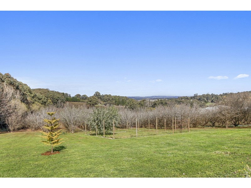 15 Staves Road, Hoddles Creek VIC 3139