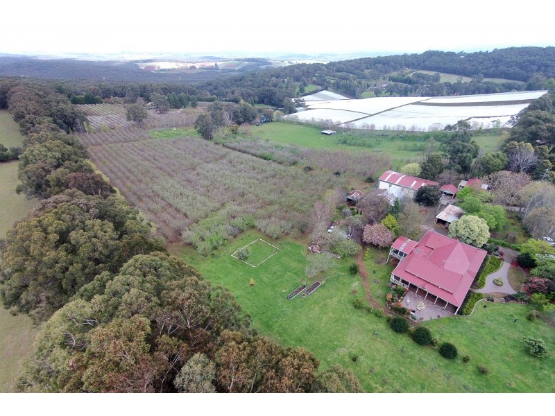 15 Staves Road, Hoddles Creek VIC 3139