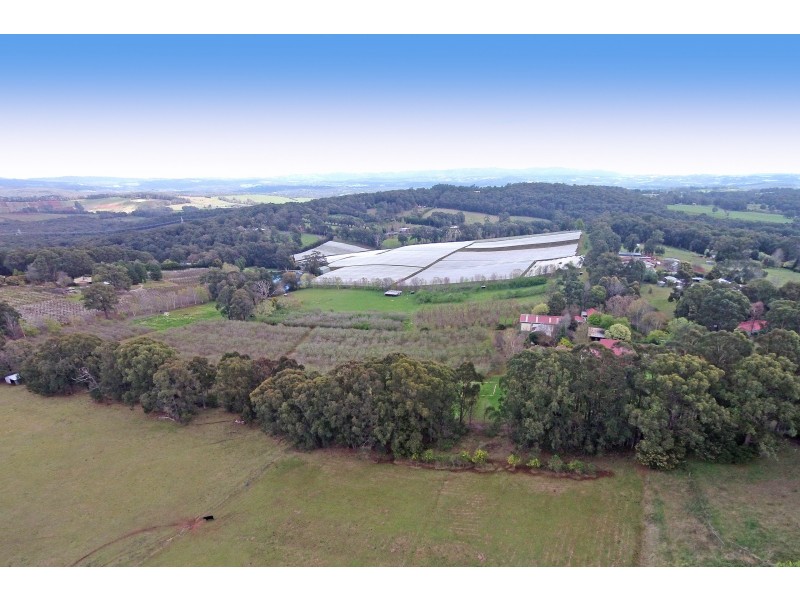 15 Staves Road, Hoddles Creek VIC 3139