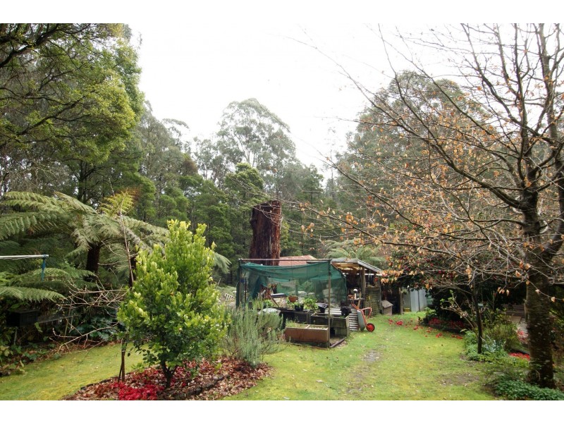 10/- 20 Messmate Close, Powelltown VIC 3797