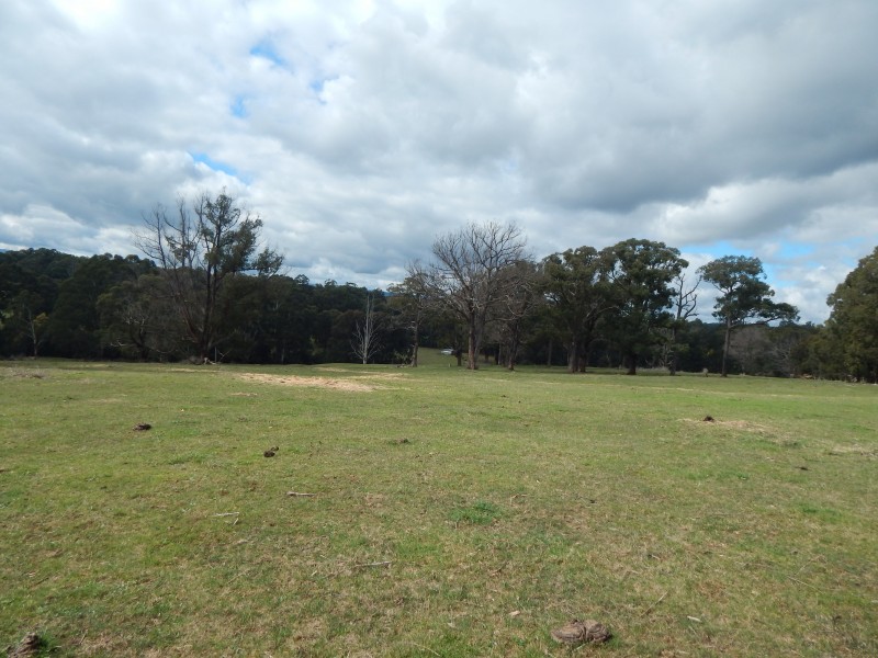 170 Eacotts Road, Hoddles Creek VIC 3139