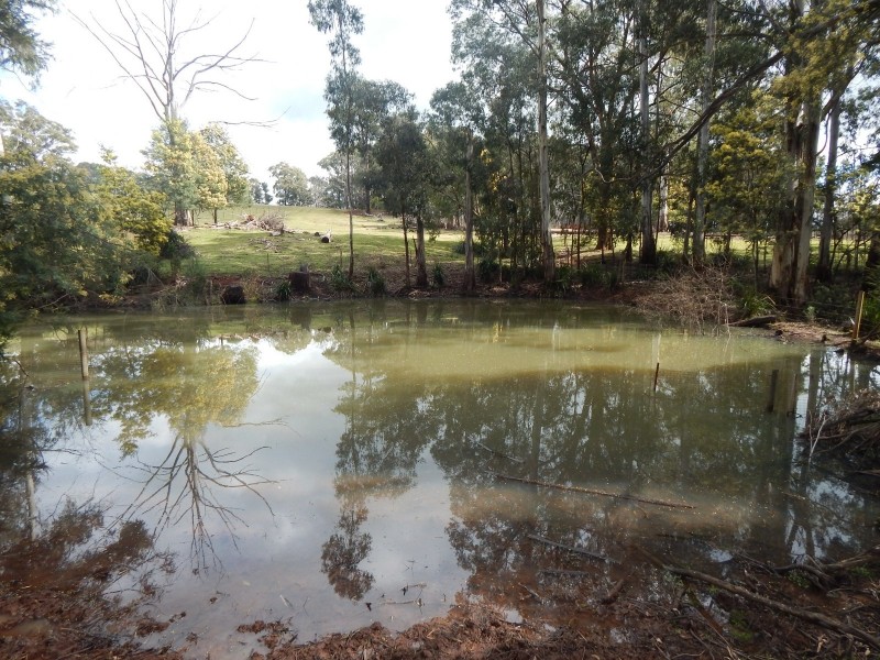 170 Eacotts Road, Hoddles Creek VIC 3139