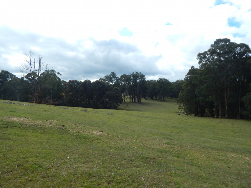 170 Eacotts Road, Hoddles Creek VIC 3139