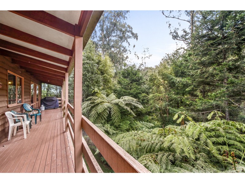 41 Wellington Road, Warburton VIC 3799