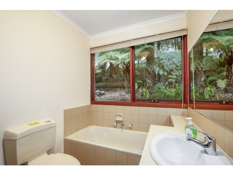 41 Wellington Road, Warburton VIC 3799