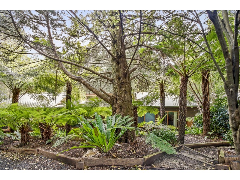 41 Wellington Road, Warburton VIC 3799