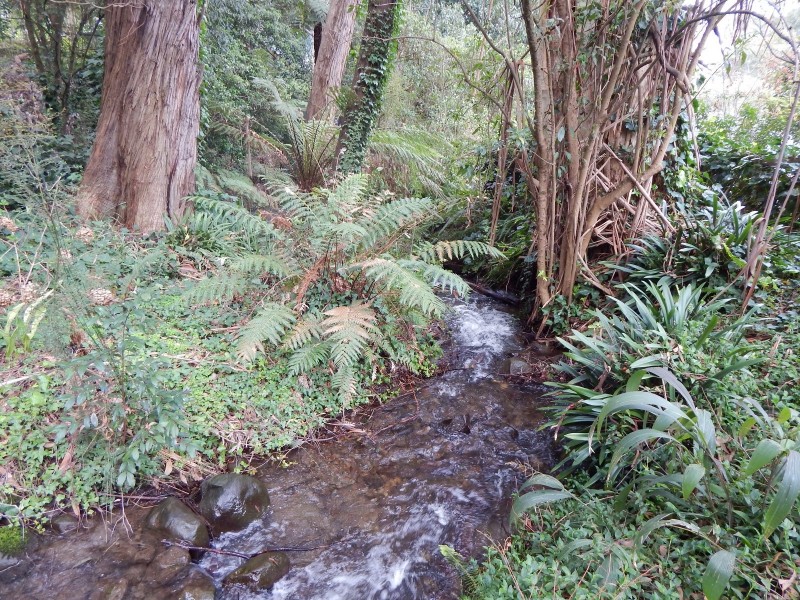 39 Wonga Road, Millgrove VIC 3799