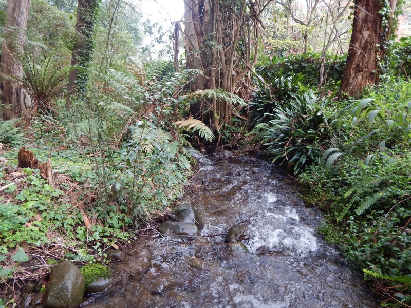 39 Wonga Road, Millgrove VIC 3799