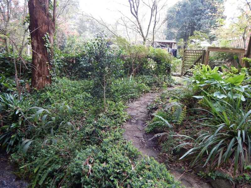 39 Wonga Road, Millgrove VIC 3799