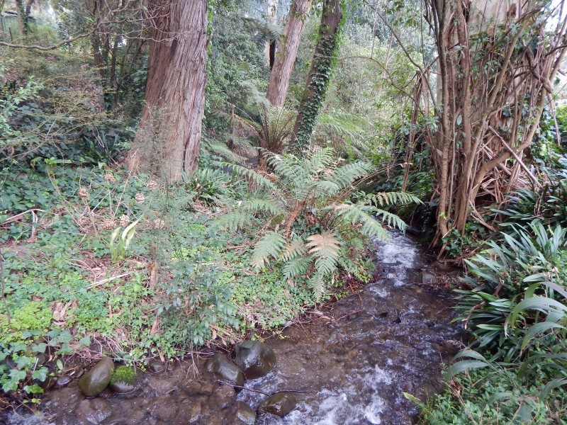 39 Wonga Road, Millgrove VIC 3799