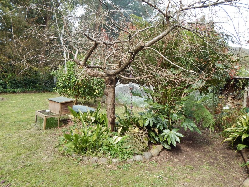 39 Wonga Road, Millgrove VIC 3799