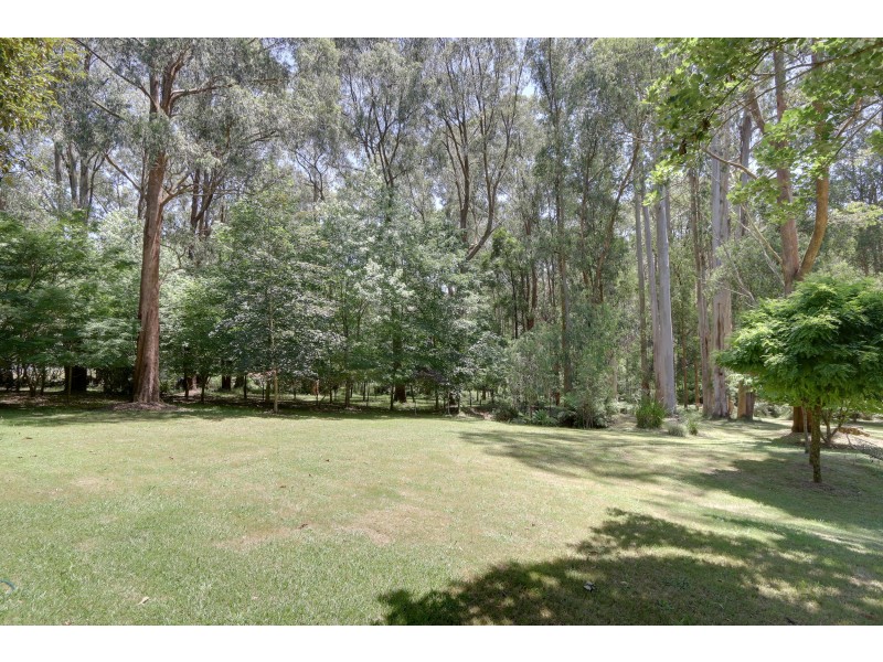 1505 Little Yarra Road, Powelltown VIC 3797
