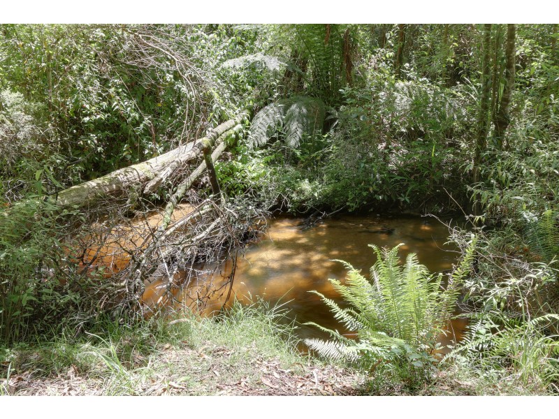 1505 Little Yarra Road, Powelltown VIC 3797