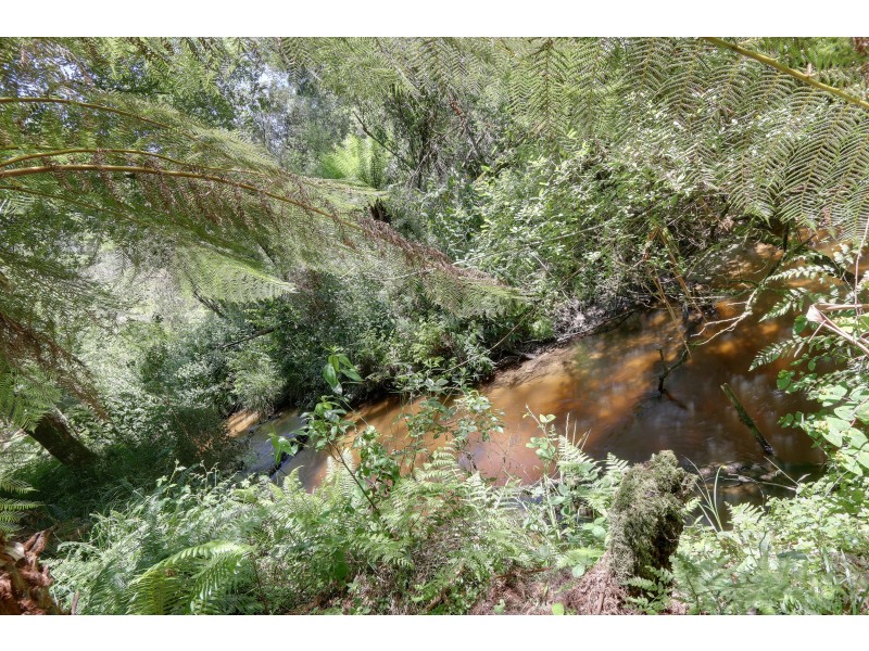 1505 Little Yarra Road, Powelltown VIC 3797