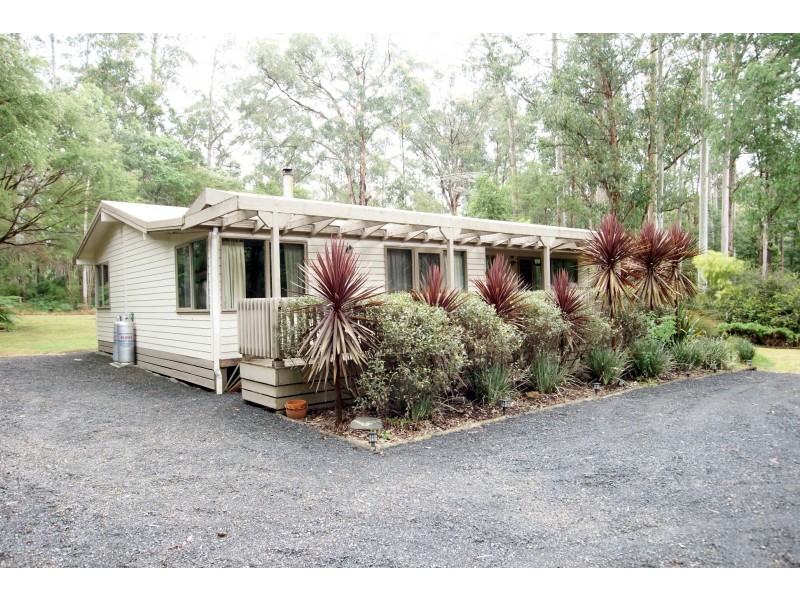 38 Whitegum Drive, East Warburton VIC 3799