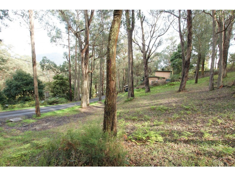 3 The Rise, East Warburton VIC 3799