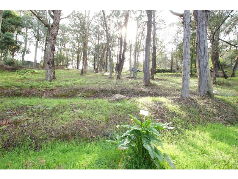 3 The Rise, East Warburton VIC 3799