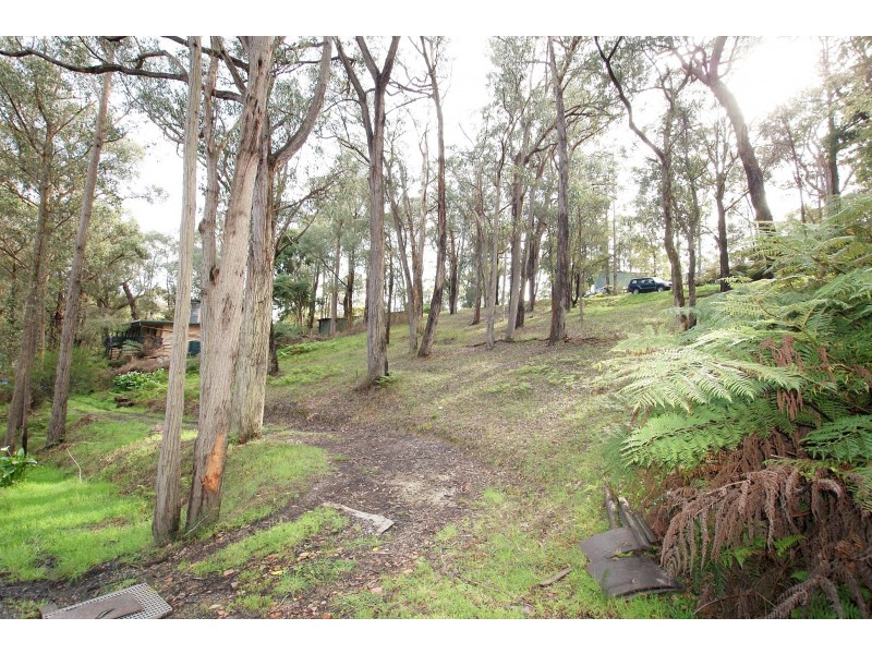 3 The Rise, East Warburton VIC 3799