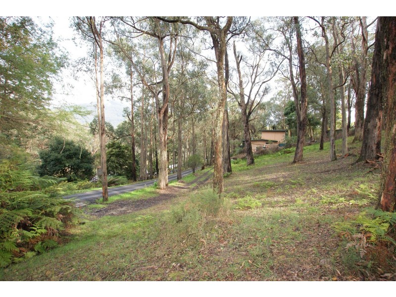 3 The Rise, East Warburton VIC 3799