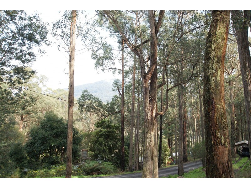 3 The Rise, East Warburton VIC 3799