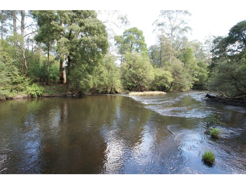 189 Woods Point Road, Warburton VIC 3799