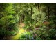 189 Woods Point Road, Warburton VIC 3799