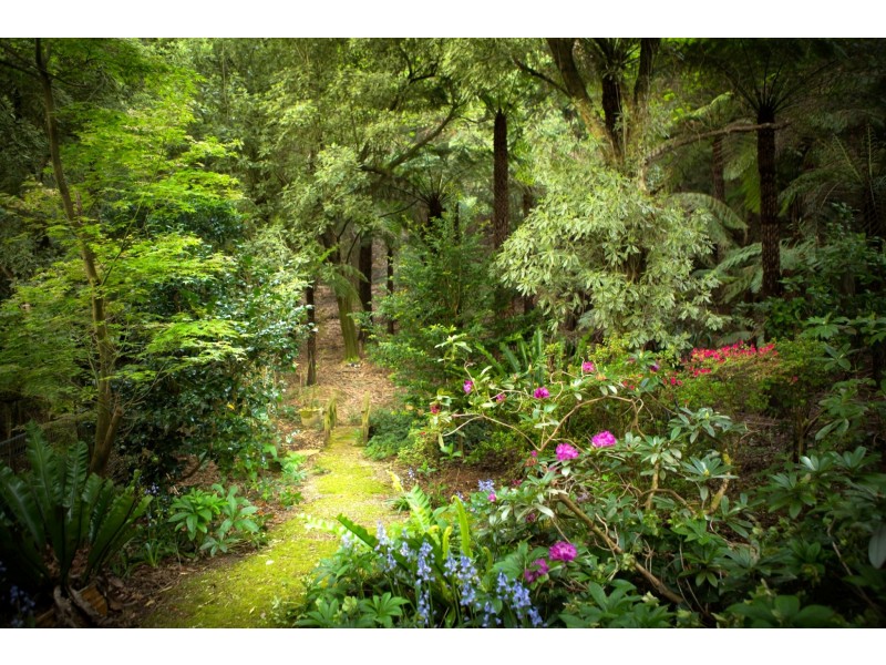 189 Woods Point Road, Warburton VIC 3799