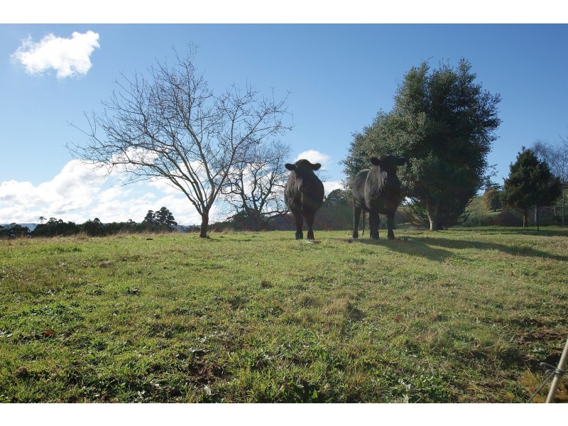 105 Sales Road, Gladysdale VIC 3797