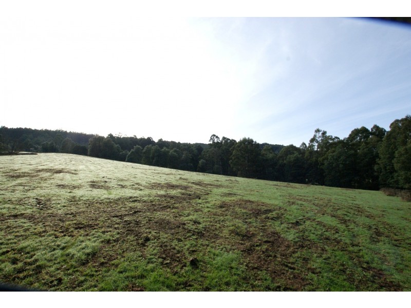 1315 Little Yarra Road, Gilderoy VIC 3797