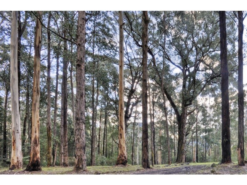 38 Clarke Avenue, Warburton VIC 3799