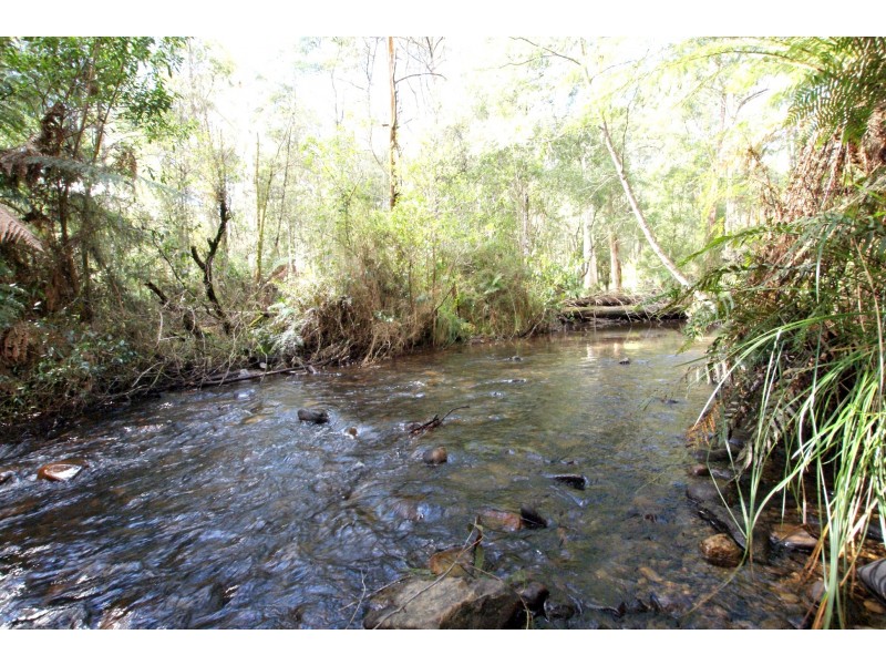 31 Fisherman Drive, Reefton VIC 3799