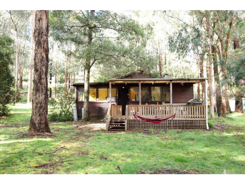 31 Fisherman Drive, Reefton VIC 3799