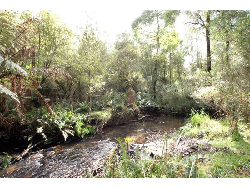 31 Fisherman Drive, Reefton VIC 3799