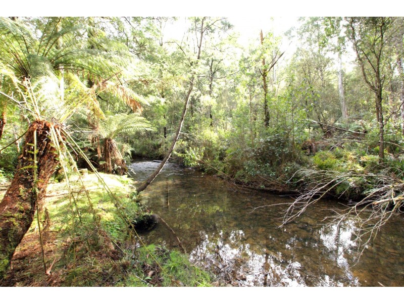 31 Fisherman Drive, Reefton VIC 3799