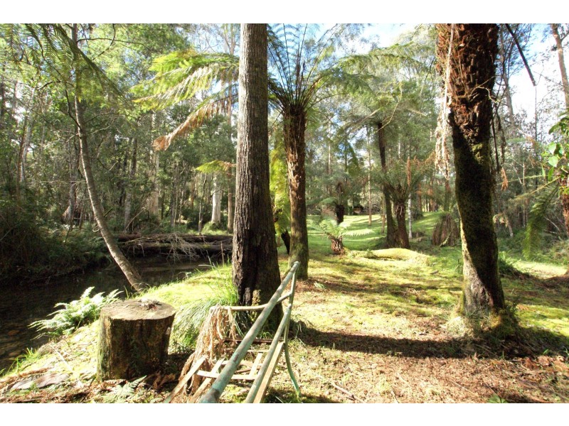 31 Fisherman Drive, Reefton VIC 3799