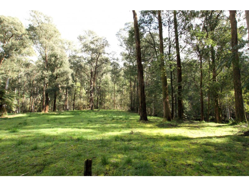 31 Fisherman Drive, Reefton VIC 3799