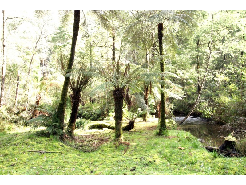 31 Fisherman Drive, Reefton VIC 3799