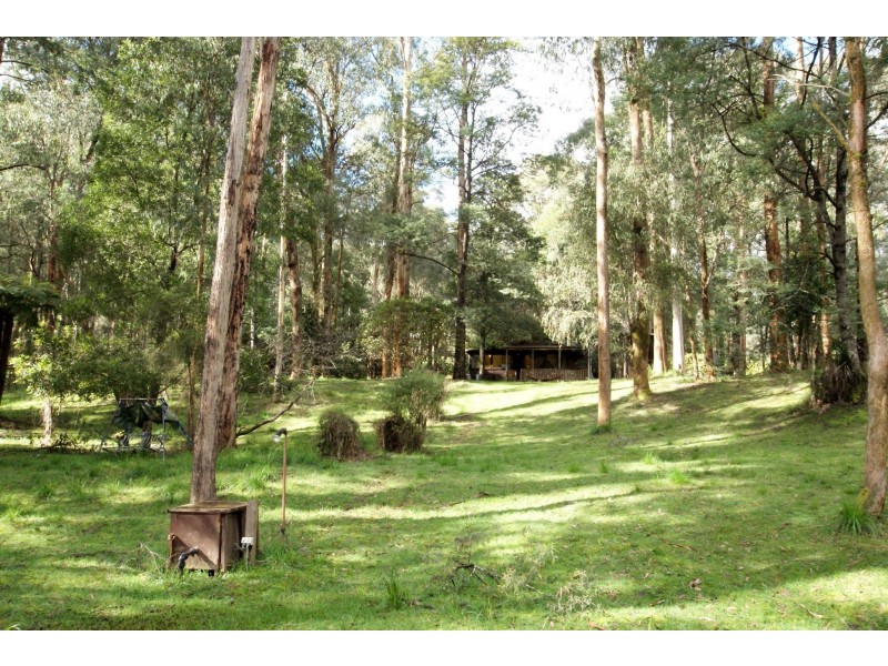 31 Fisherman Drive, Reefton VIC 3799