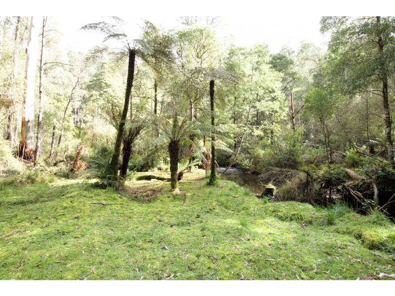 31 Fisherman Drive, Reefton VIC 3799